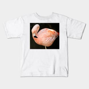 cli pink flamingo Kids T-Shirt